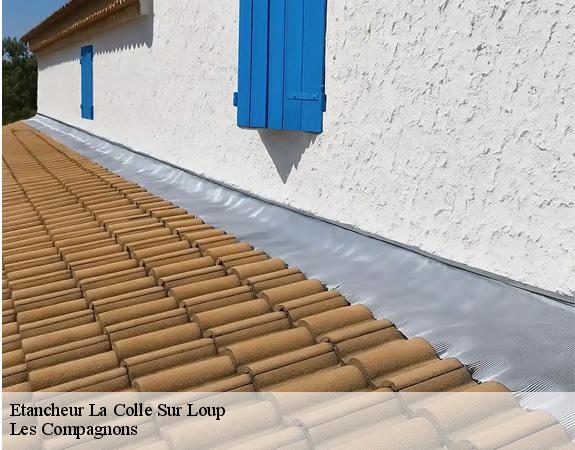 Etancheur  la-colle-sur-loup-06480 Les Compagnons 