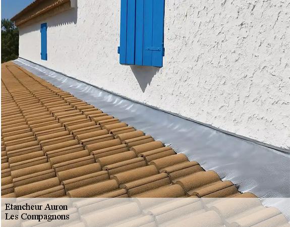 Etancheur  auron-06660 Les Compagnons 