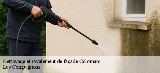 Nettoyage et ravalement de façade  06670