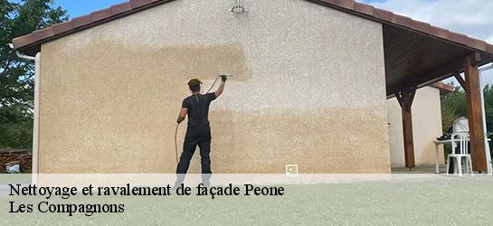 Nettoyage et ravalement de façade 06470