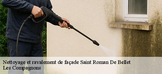 Nettoyage et ravalement de façade  06200