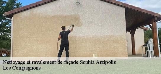 Nettoyage et ravalement de façade  06560