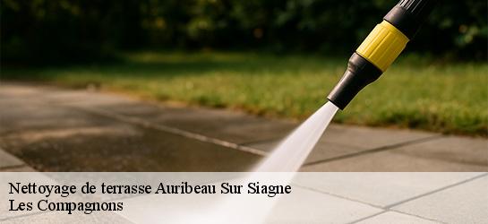 Nettoyage de terrasse 06810