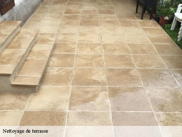 Nettoyage de terrasse  06310