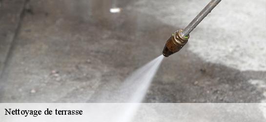 Nettoyage de terrasse  06750