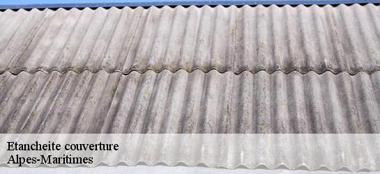 Etancheite couverture Alpes-Maritimes 