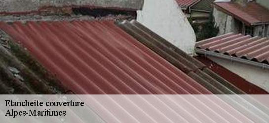 Etancheite couverture Alpes-Maritimes 