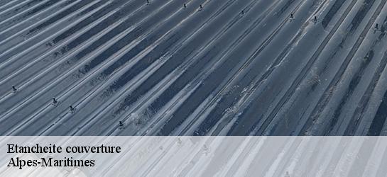 Etancheite couverture Alpes-Maritimes 