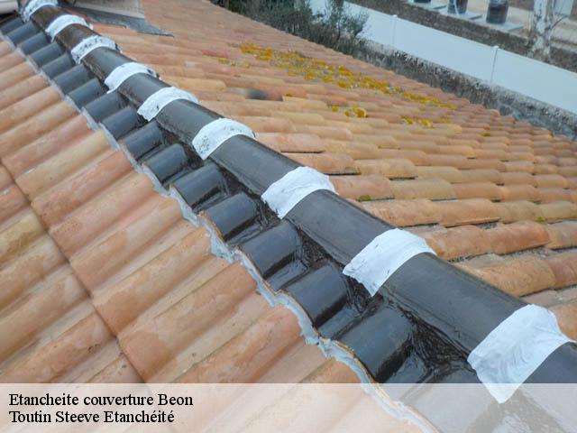 Etancheite couverture  beon-01350 Toutin Steeve Etanchéité