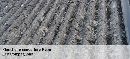 Etancheite couverture  01350