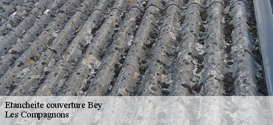 Etancheite couverture  01290