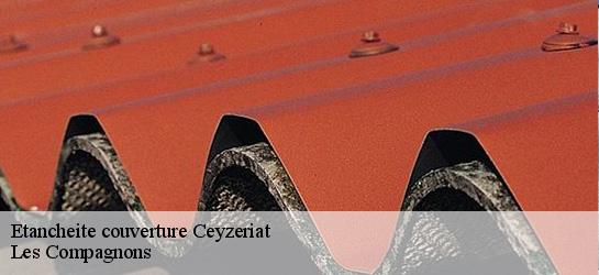 Etancheite couverture  01250