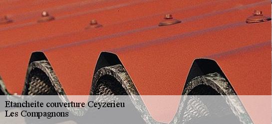 Etancheite couverture  01350