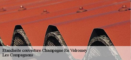 Etancheite couverture  01260