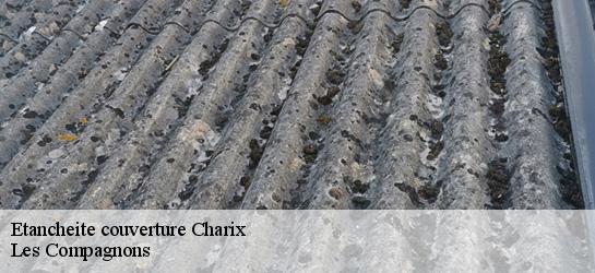 Etancheite couverture  01130