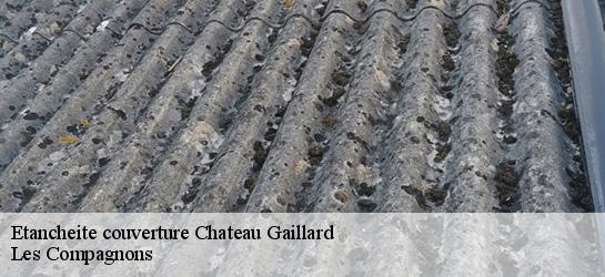 Etancheite couverture  01500