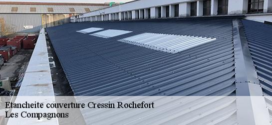 Etancheite couverture  01350