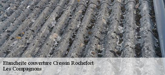 Etancheite couverture  01350