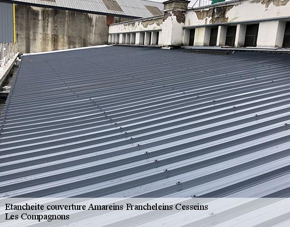Etancheite couverture amareins-francheleins-cesseins-01090 Les Compagnons