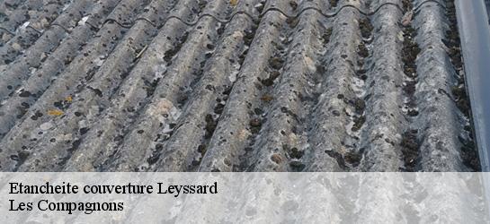 Etancheite couverture 01450