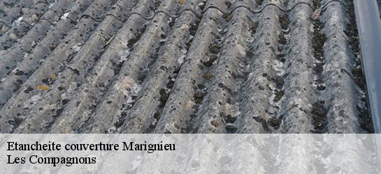 Etancheite couverture  01300