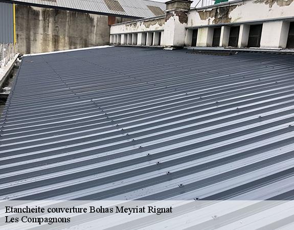 Etancheite couverture bohas-meyriat-rignat-01250 Les Compagnons