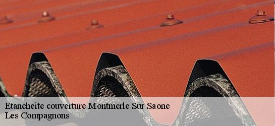Etancheite couverture  01090