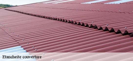 Etancheite couverture  01700