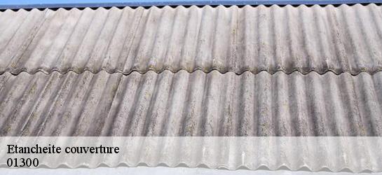 Etancheite couverture  01300