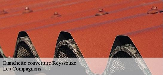 Etancheite couverture  01190