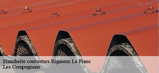 Etancheite couverture  01800