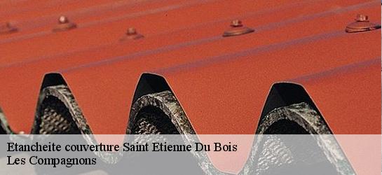 Etancheite couverture  01370