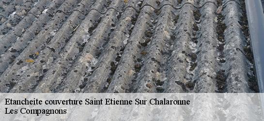 Etancheite couverture  01140