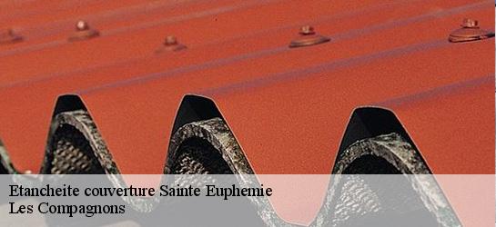 Etancheite couverture  01600