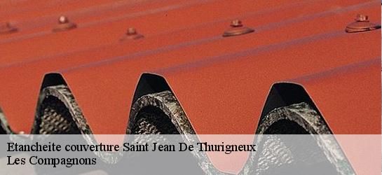 Etancheite couverture  01390