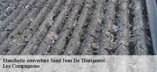 Etancheite couverture  01390