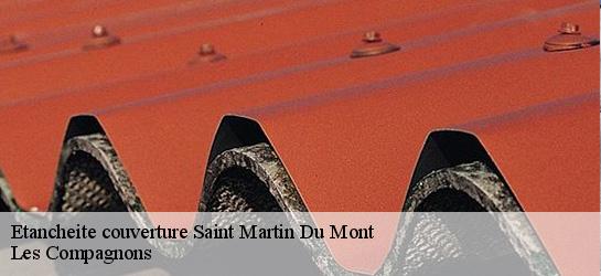 Etancheite couverture  01160