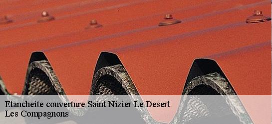 Etancheite couverture  01320