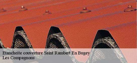 Etancheite couverture  01230