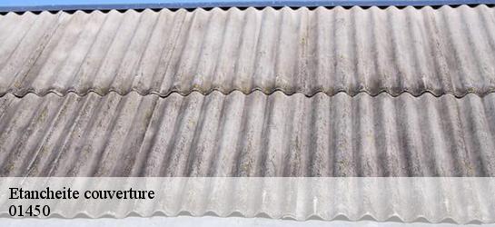 Etancheite couverture 01450