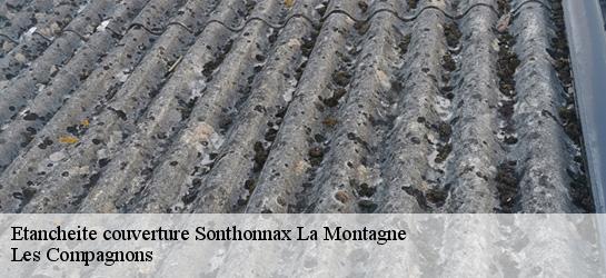 Etancheite couverture  01580