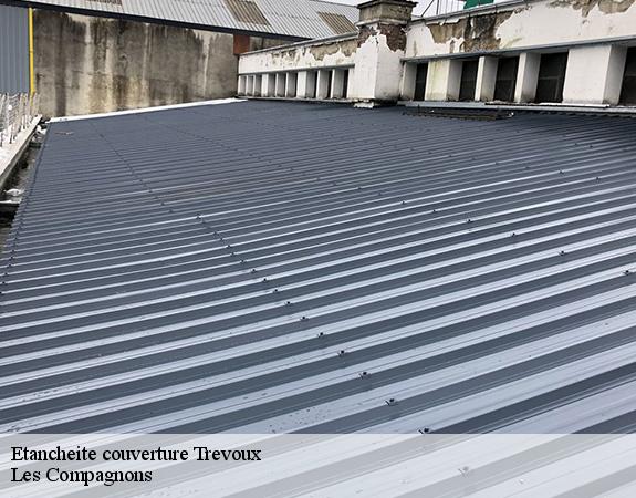 Etancheite couverture  trevoux-01600 Les Compagnons 
