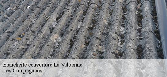 Etancheite couverture  01360