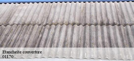 Etancheite couverture  01170
