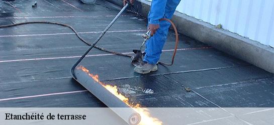 Etanchéité de terrasse  01190