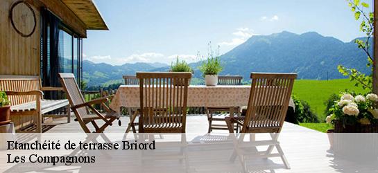 Etanchéité de terrasse  01470