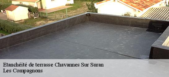 Etanchéité de terrasse  01250