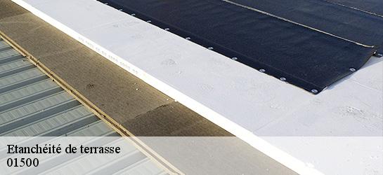 Etanchéité de terrasse  01500