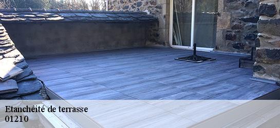 Etanchéité de terrasse  01210