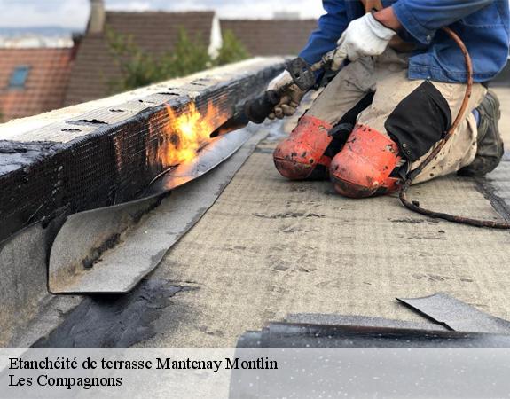 Etanchéité de terrasse  mantenay-montlin-01560 Les Compagnons 